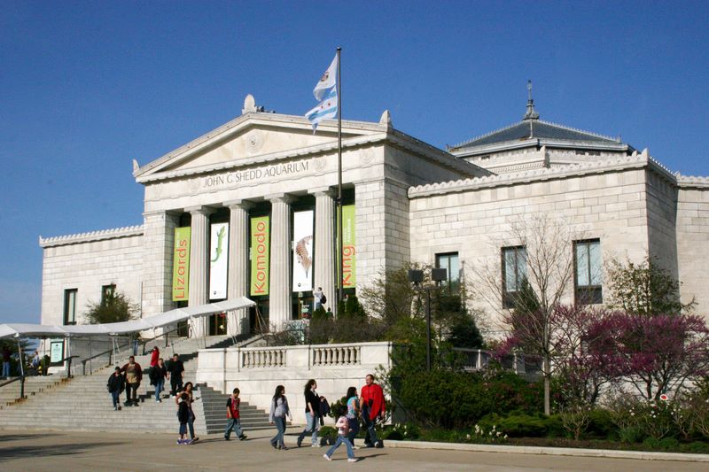 Shedd Aquarium, Chicago