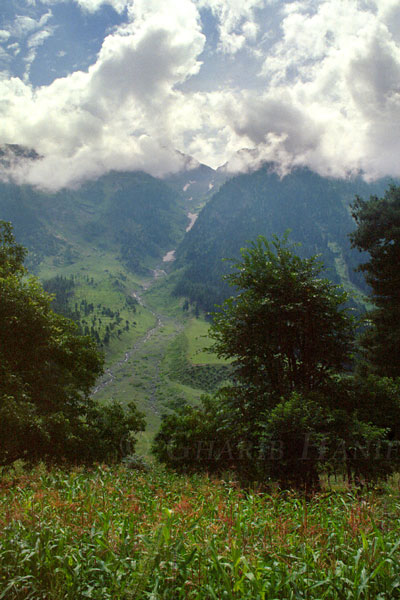 Valley