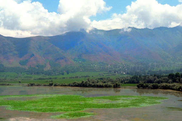 Wular Lake