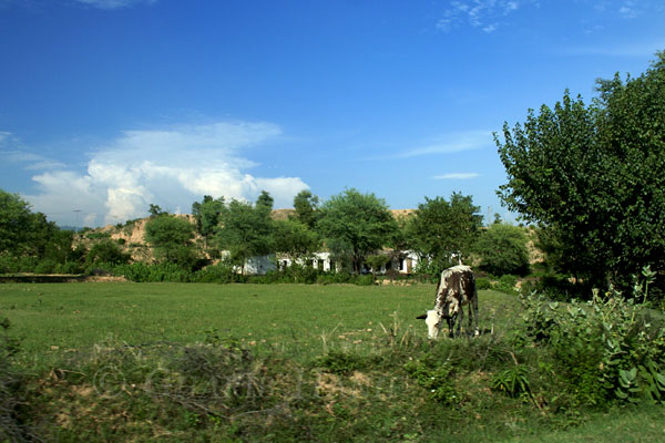 Village