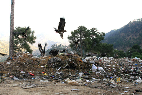 Rubbish in Pallandri
