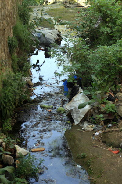 Sehnsa rubbish