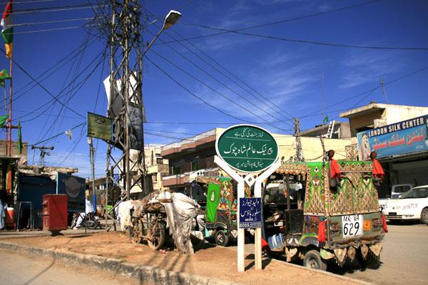 Wire Jungle