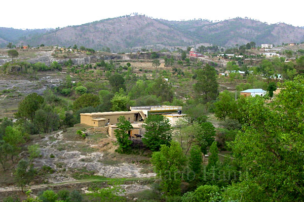 Houses