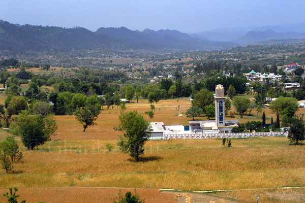 Fields