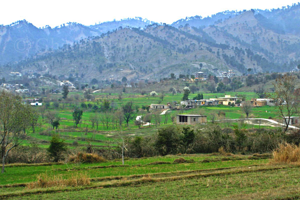Village