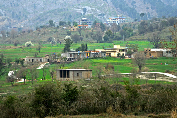 Village