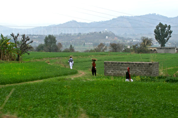 Village