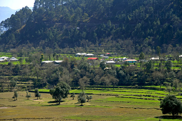 Village