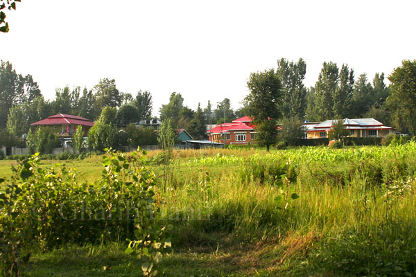 Houses