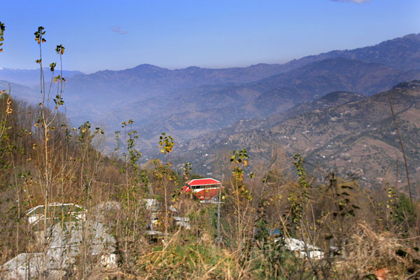 Landscape