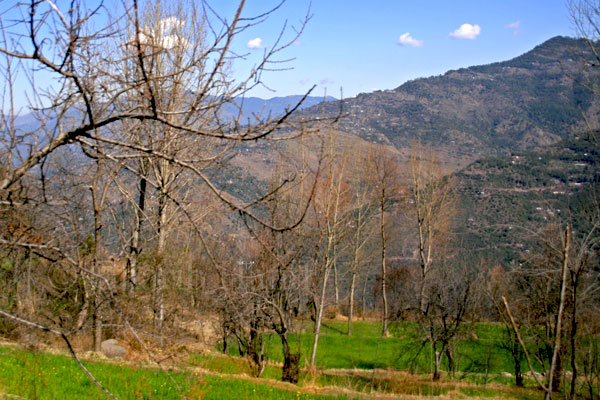 Field