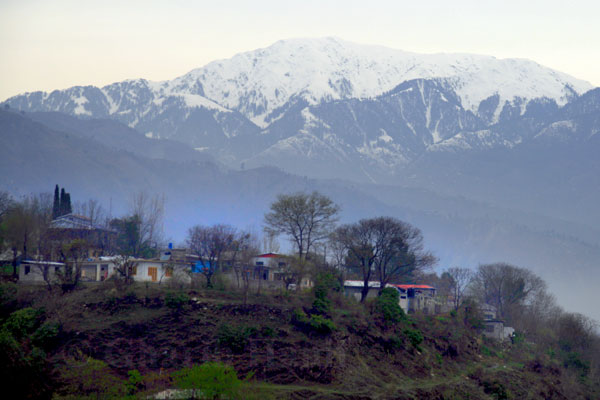 Mountain