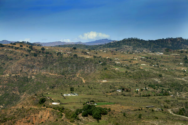 Village