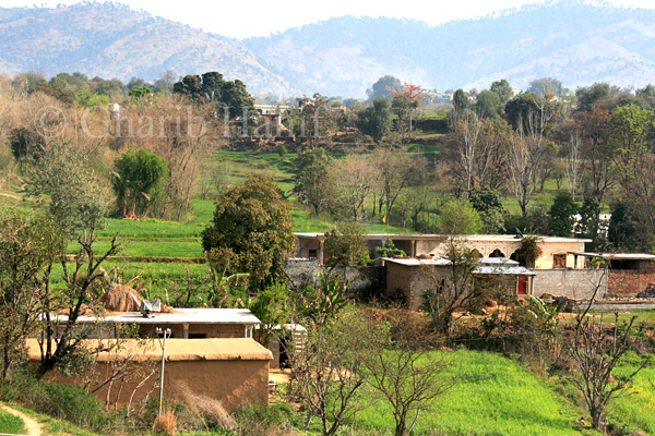 Village