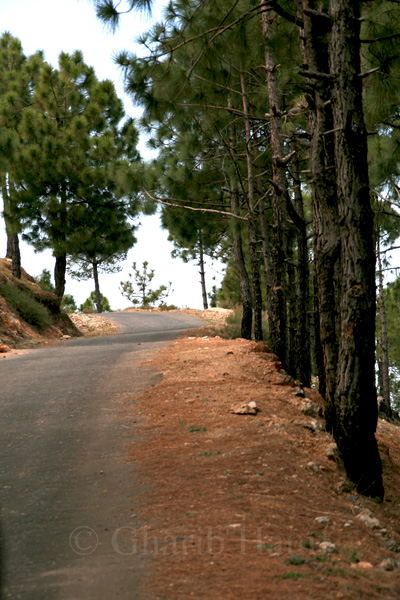 Road