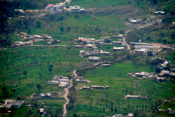 View from