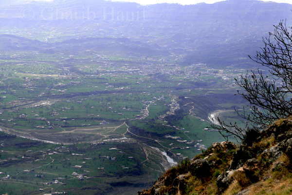 View from