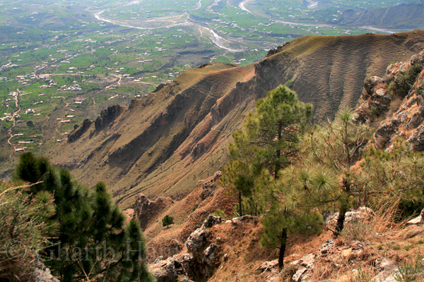 View from