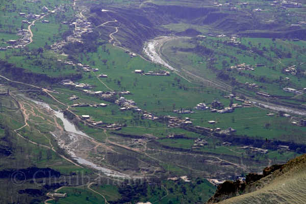 View from