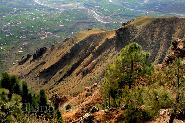 View from