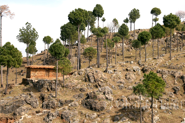 Village