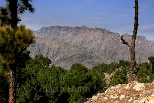 View