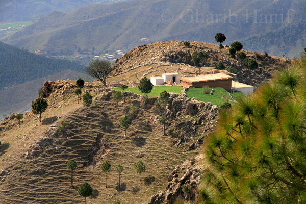 Village
