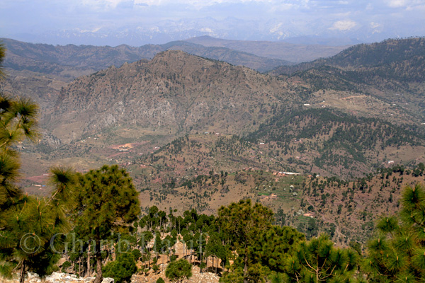 View from