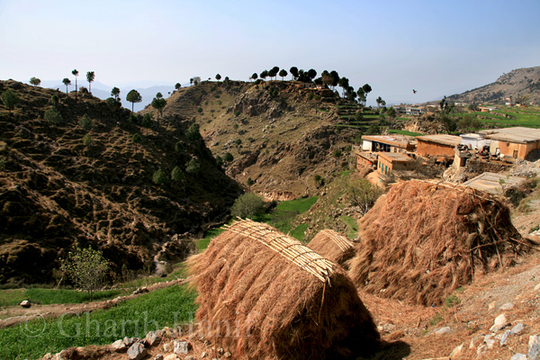 Village