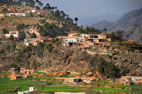 Village