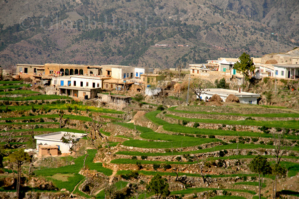 Village