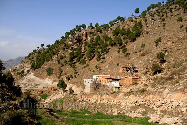 Village