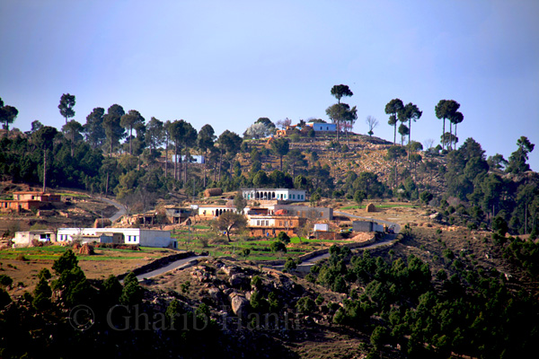 Village