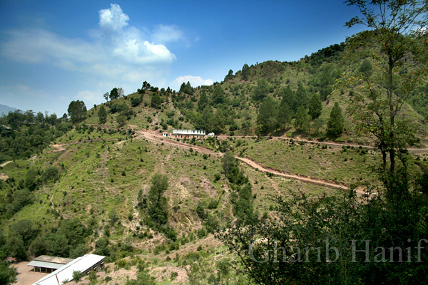 Village