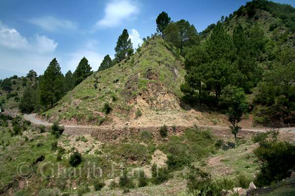 Road