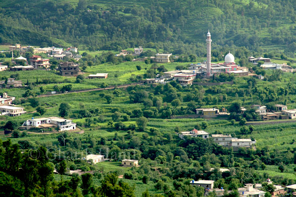 Kotli