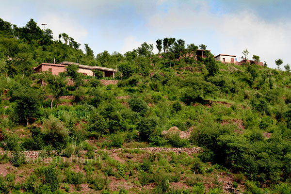 Houses