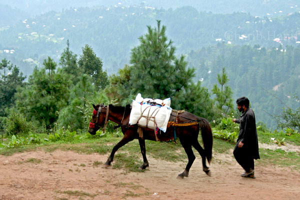 Transport