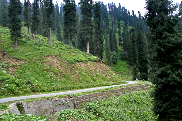 Road