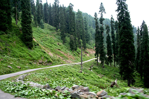 Road