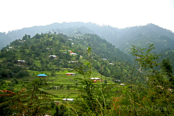 Village