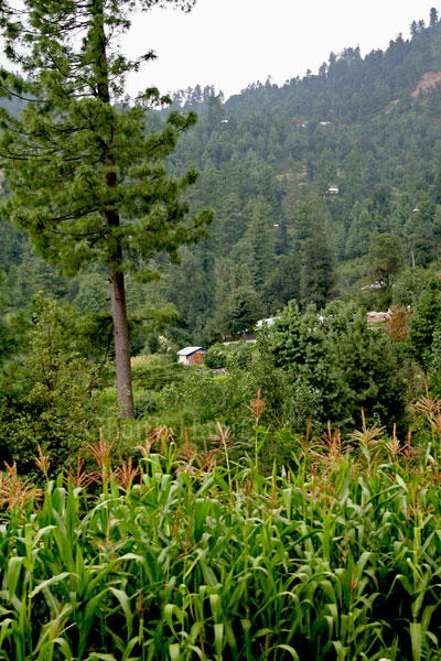 Village