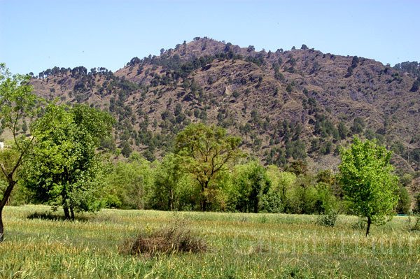 Mountains