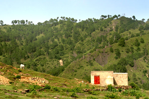 Mountains