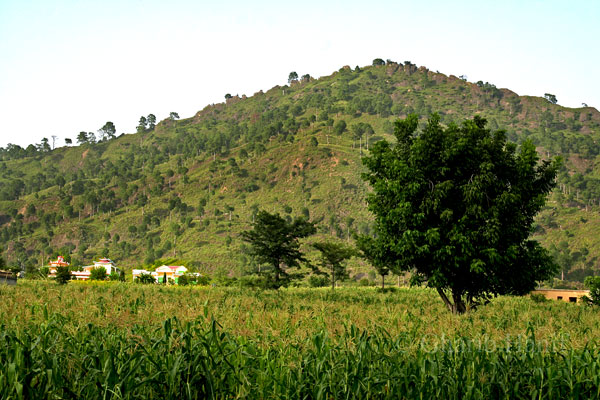 Village