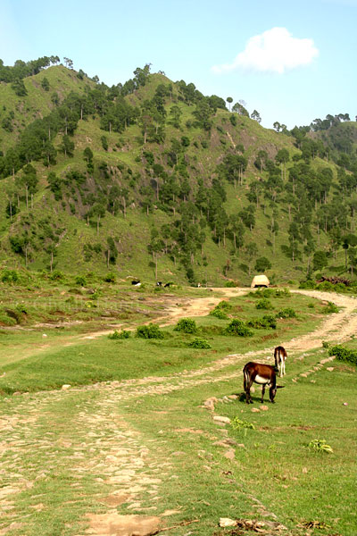 Path
