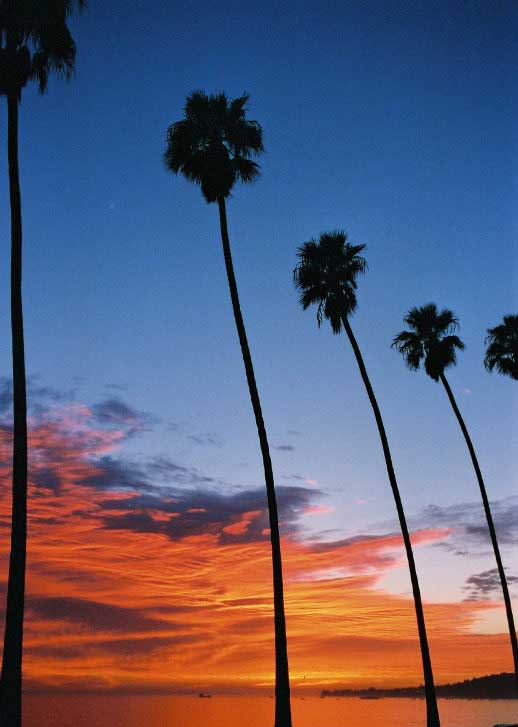 Montecito Sunset