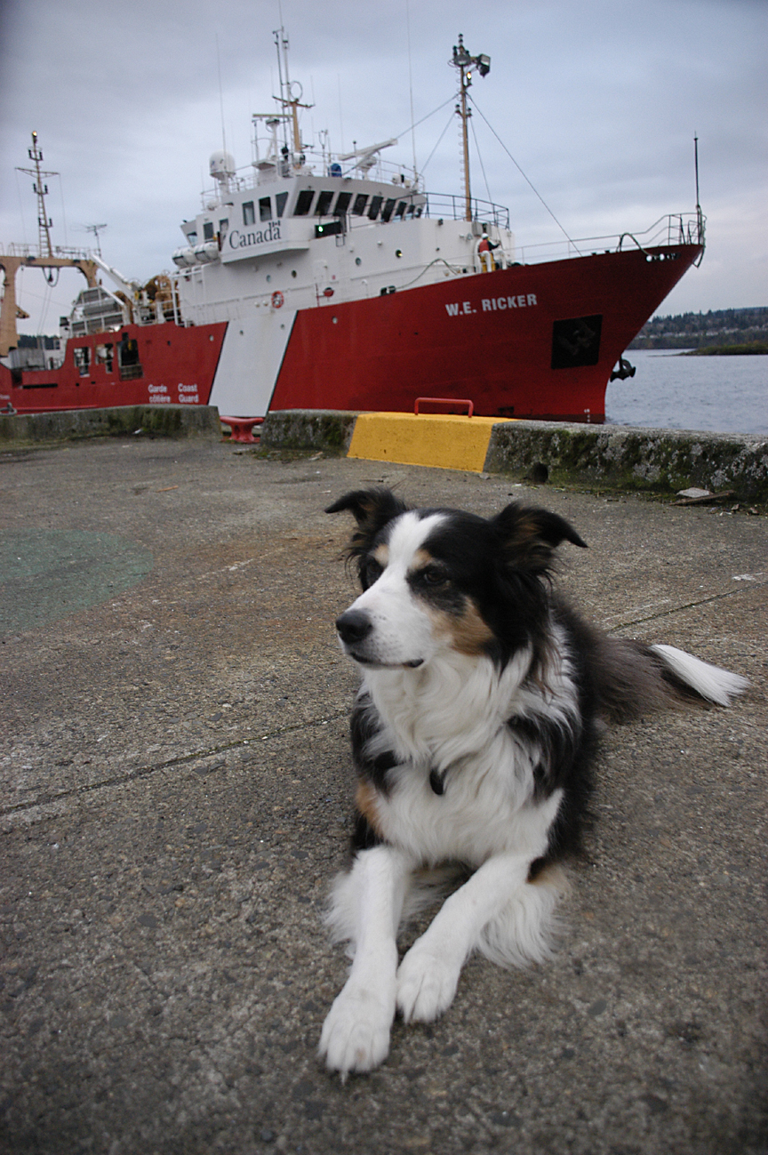 Mollys Ship Comes In