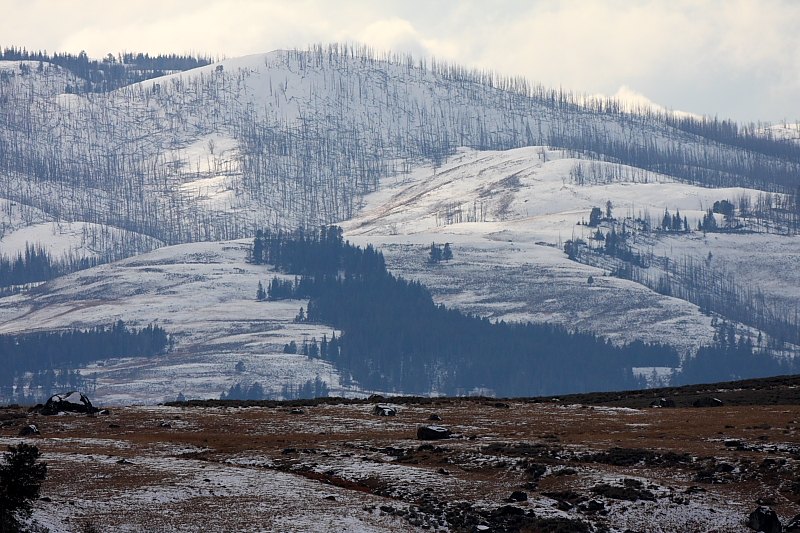 Harsh Lamar Valley